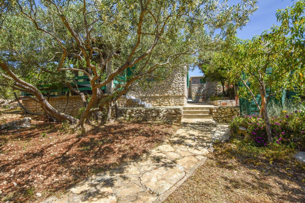 House Oliva Villa Tkon Bagian luar foto
