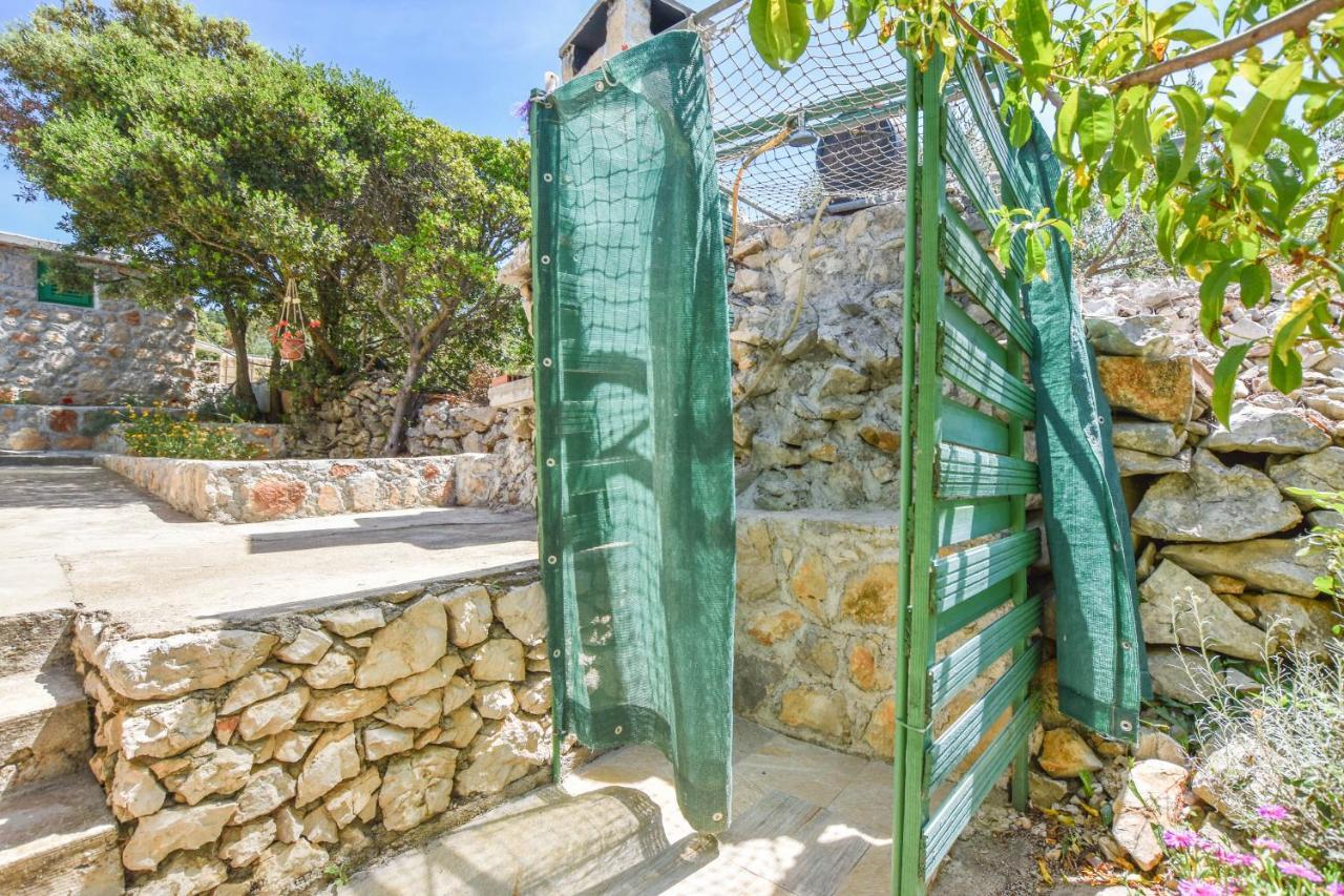 House Oliva Villa Tkon Bagian luar foto